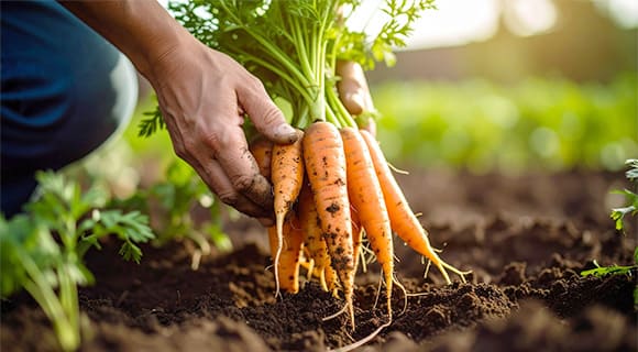 4：一次産業・産業応用支援