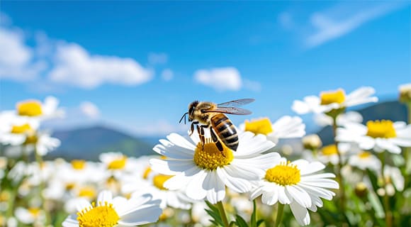 5：環境・社会への波及効果