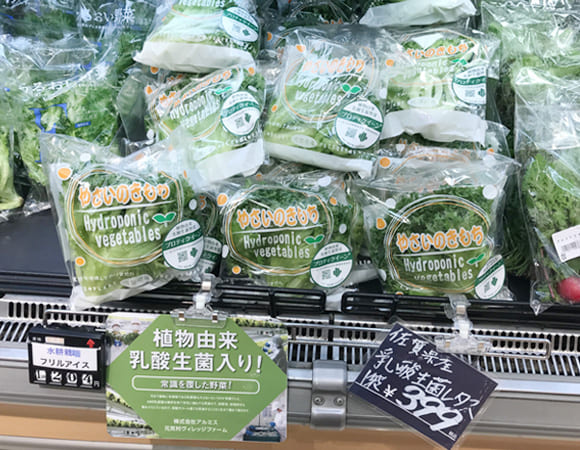 活動の信頼性を支える３つの根拠