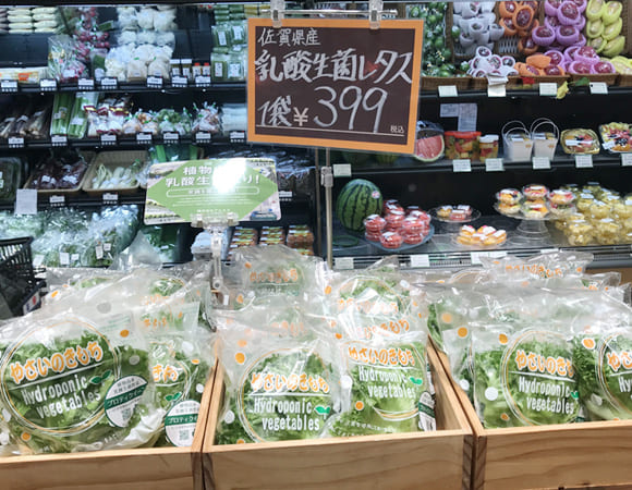 活動の信頼性を支える３つの根拠